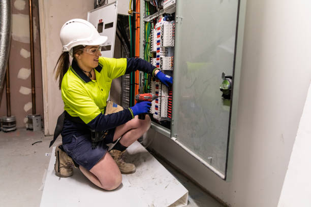 Best Electric Panel Repair  in Capac, MI