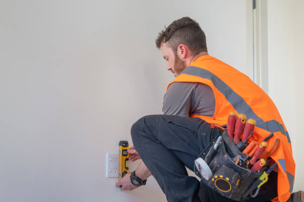 Best Generator Installation Services  in Capac, MI